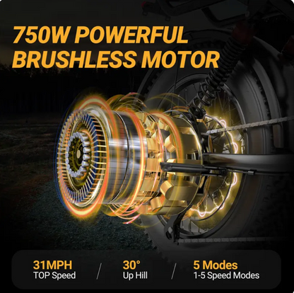 Emory™ -  Electric E-Bike